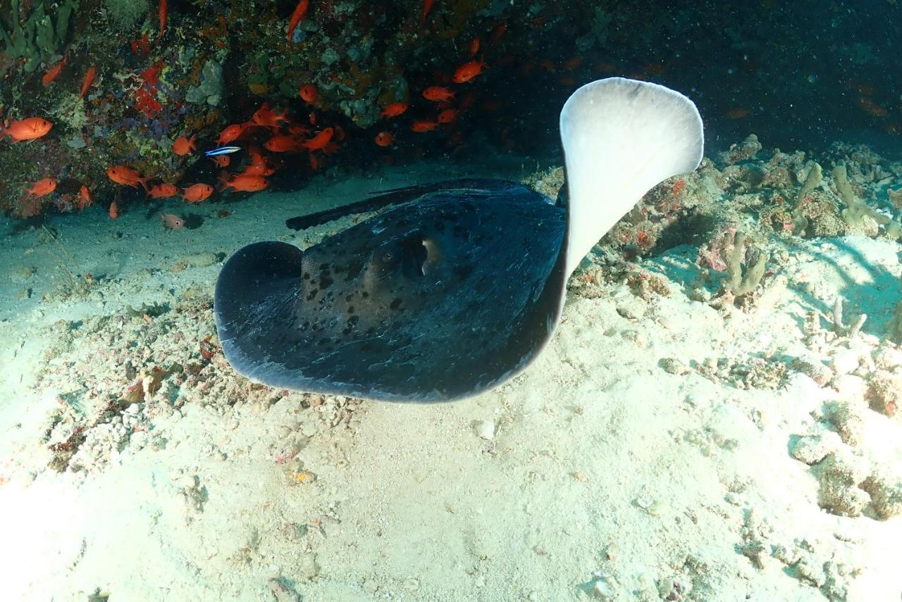 Coco Villa,Ukulhas Kültér fotó